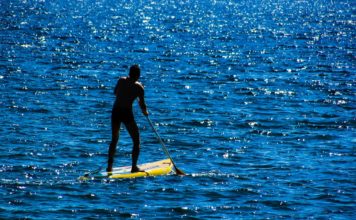 Paddleboarding se psem