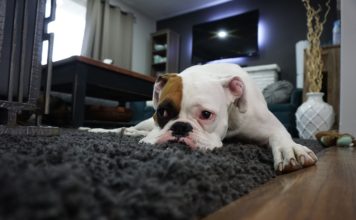 Vyber si svůj kusový koberec snadno a rychle!